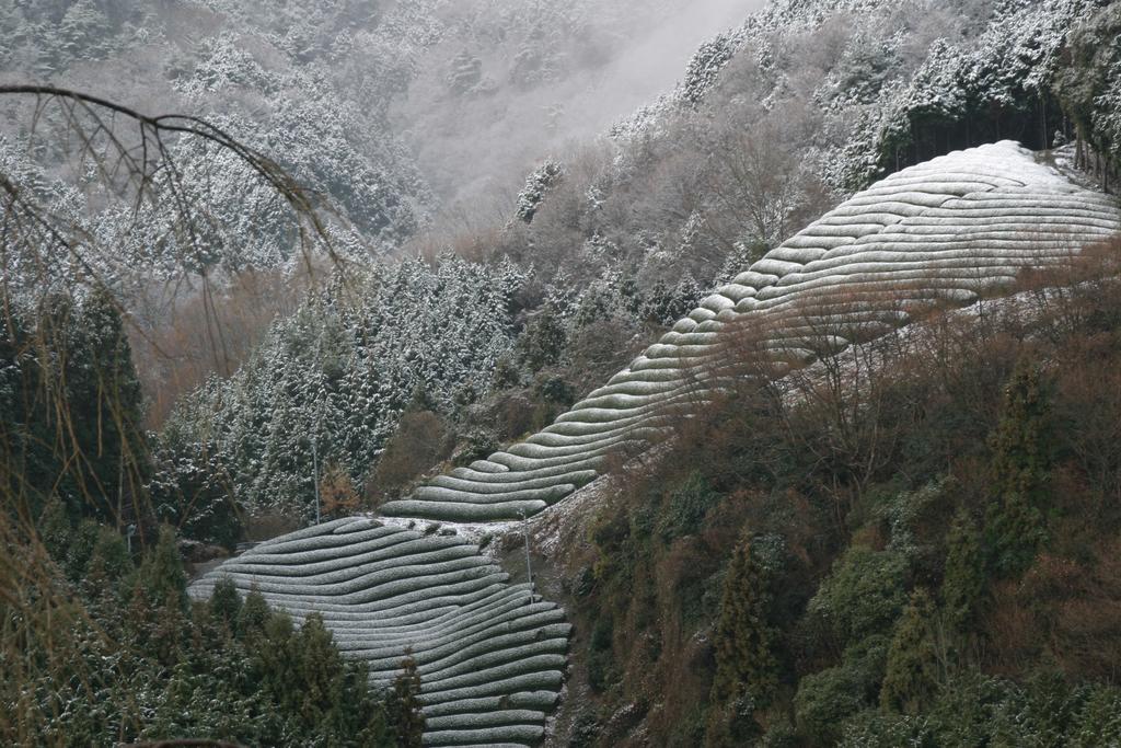 Kyoto Wazukaso Hotel Kizugawa Екстериор снимка