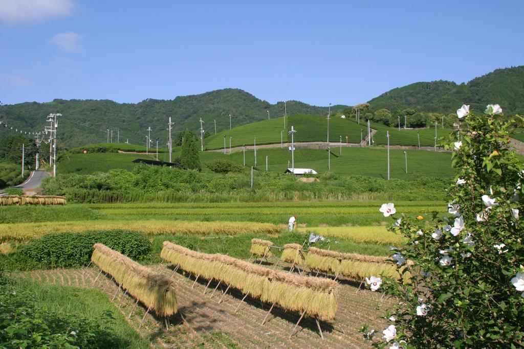 Kyoto Wazukaso Hotel Kizugawa Екстериор снимка