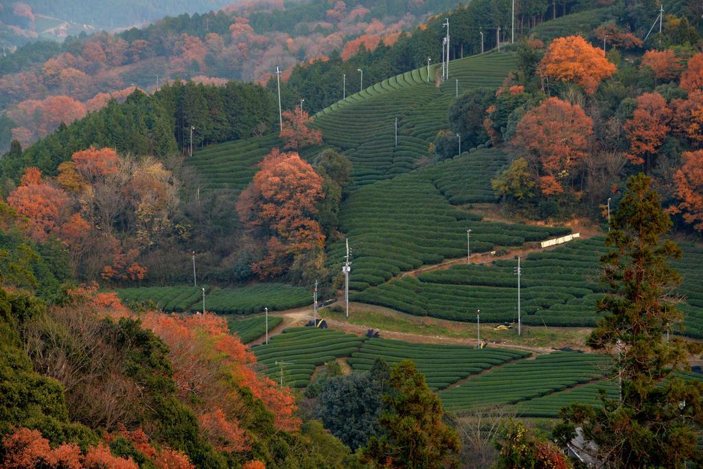 Kyoto Wazukaso Hotel Kizugawa Екстериор снимка