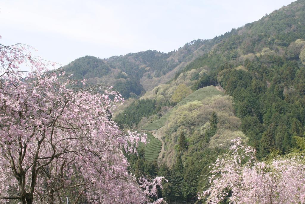 Kyoto Wazukaso Hotel Kizugawa Екстериор снимка